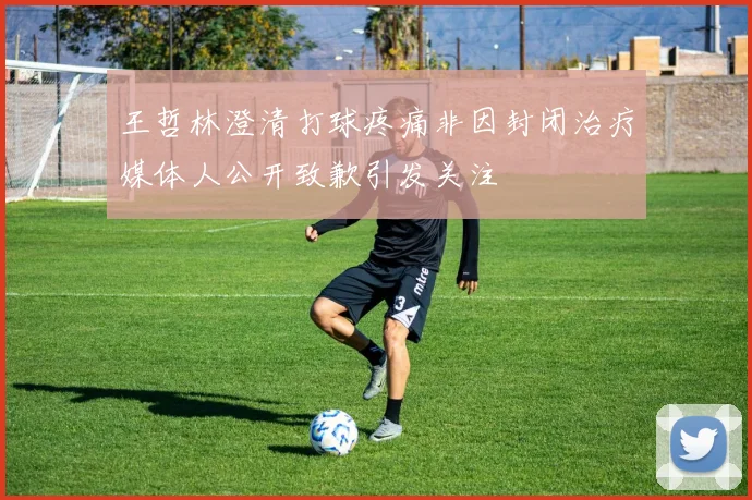 王哲林澄清打球疼痛非因封闭治疗媒体人公开致歉引发关注