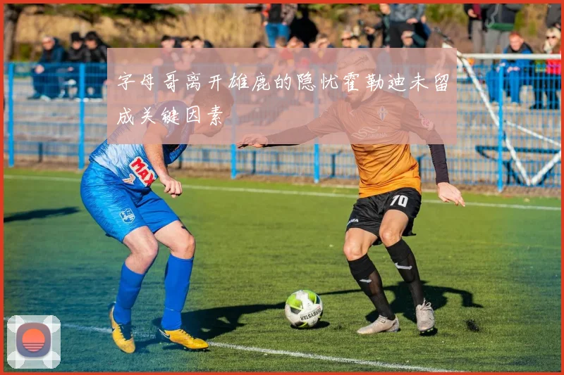 字母哥离开雄鹿的隐忧霍勒迪未留成关键因素